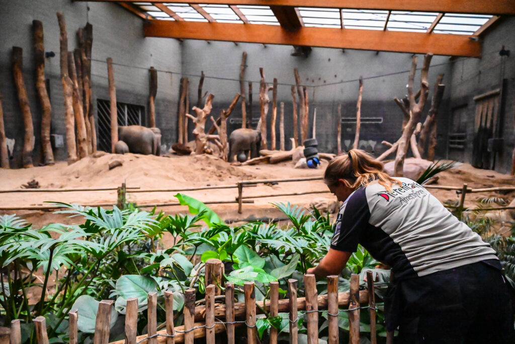 Dierenpark Amersfoort groenvoorziening artikel