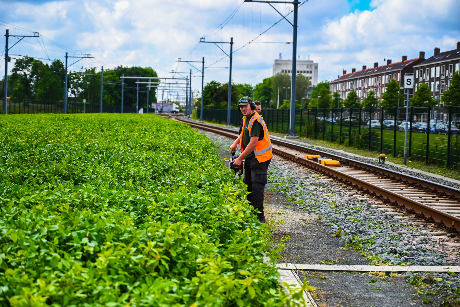 Werken leren groenmedewerkers