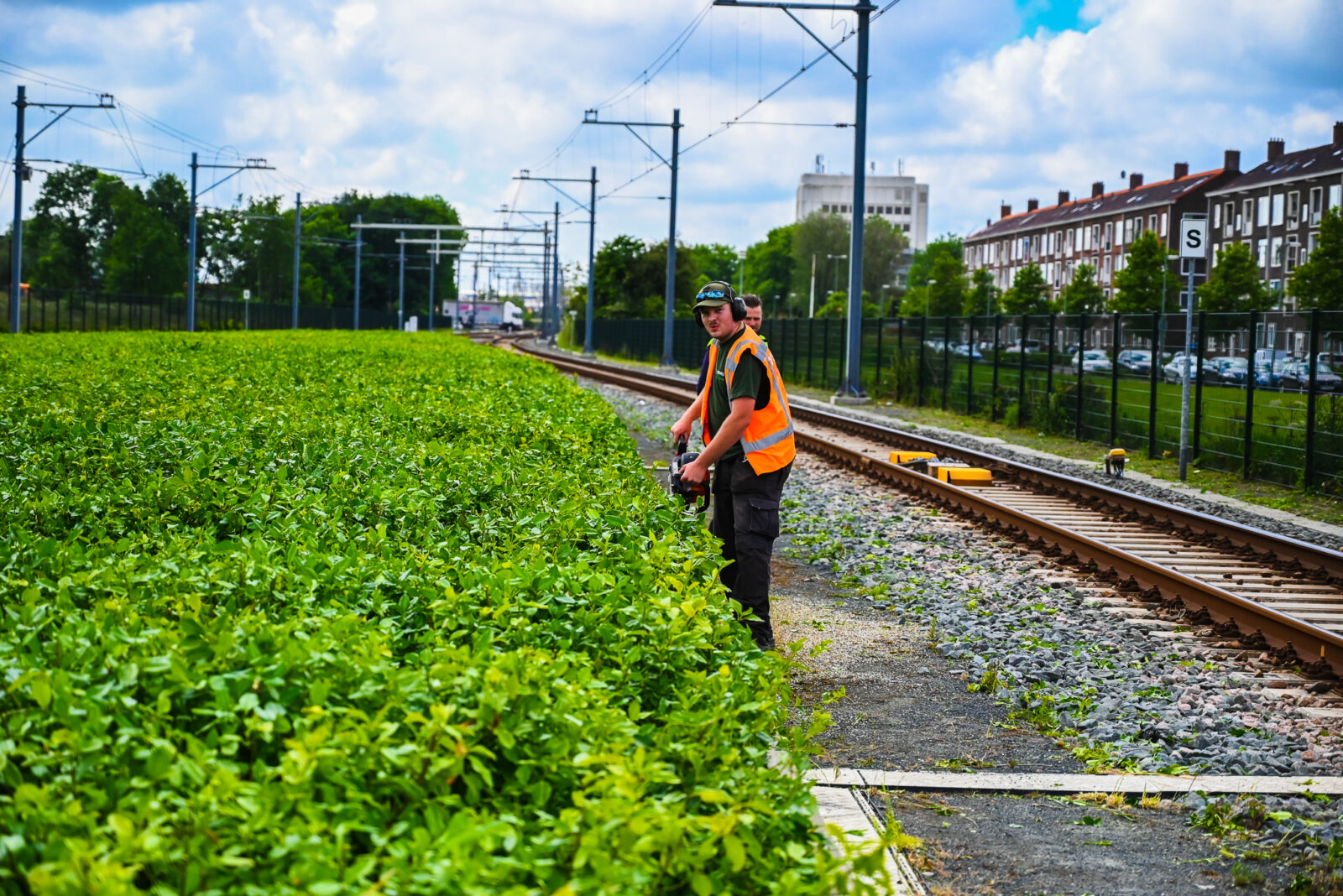 Werken leren groenmedewerkers