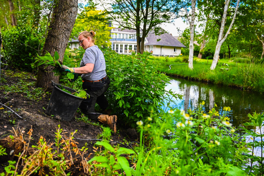 Werken als hovenier onderhoud