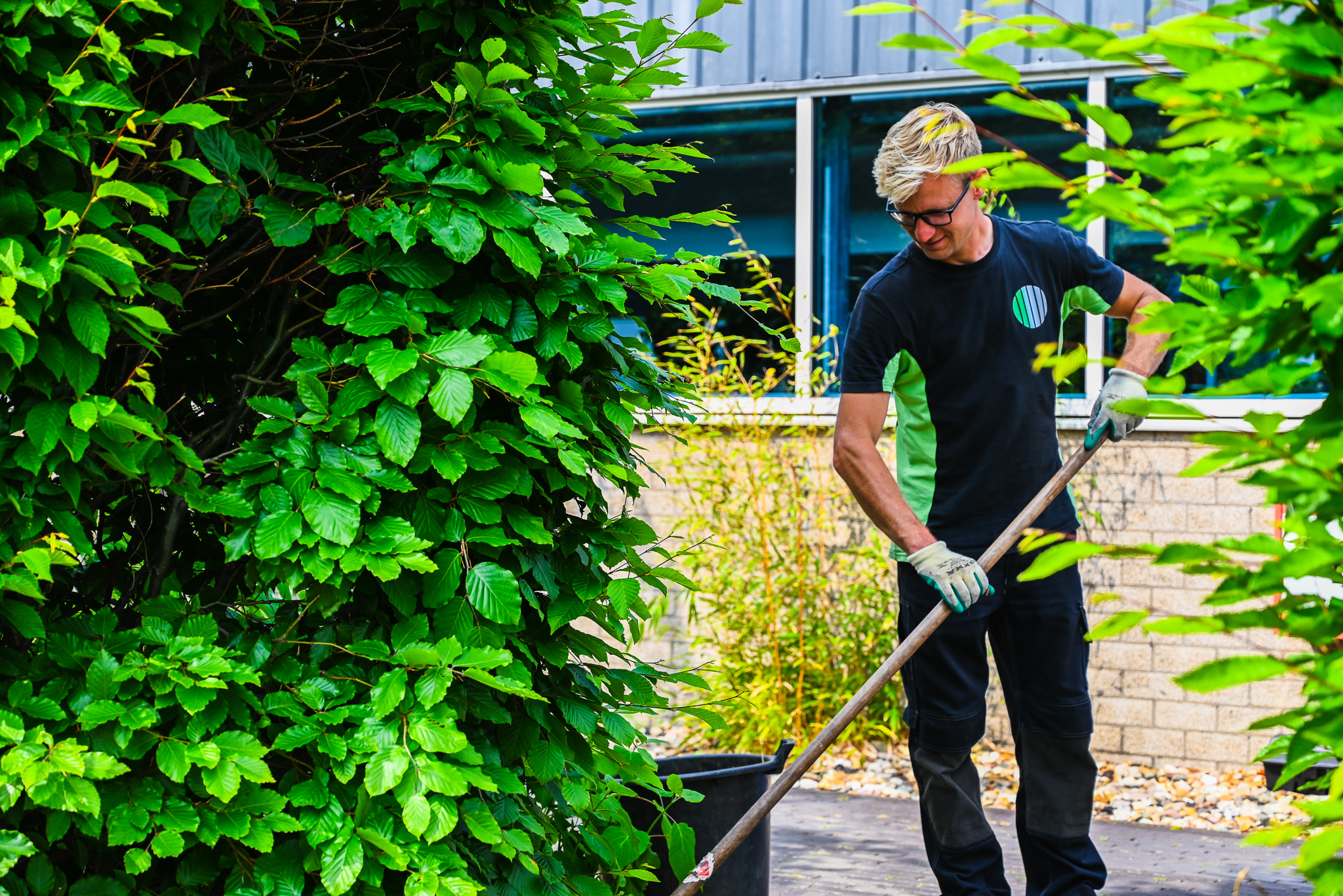 Zonder ervaring het groen in?