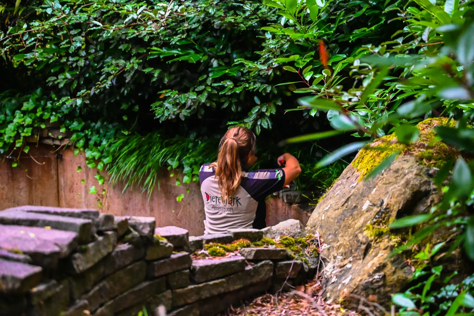 Dierenpark Amersfoort 27 juni (23)