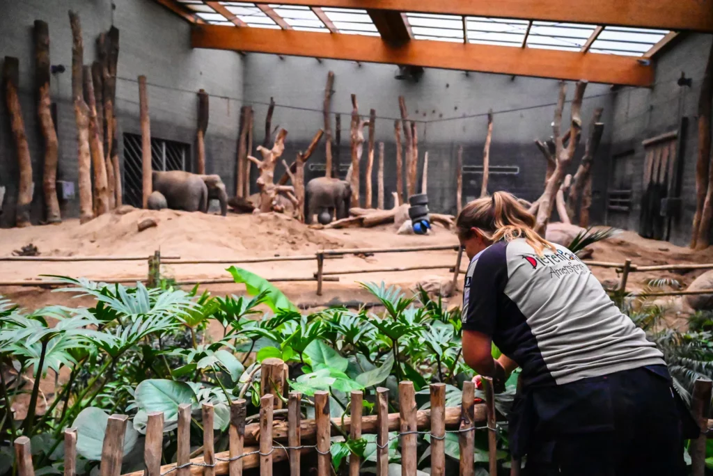 Dierenpark Amersfoort