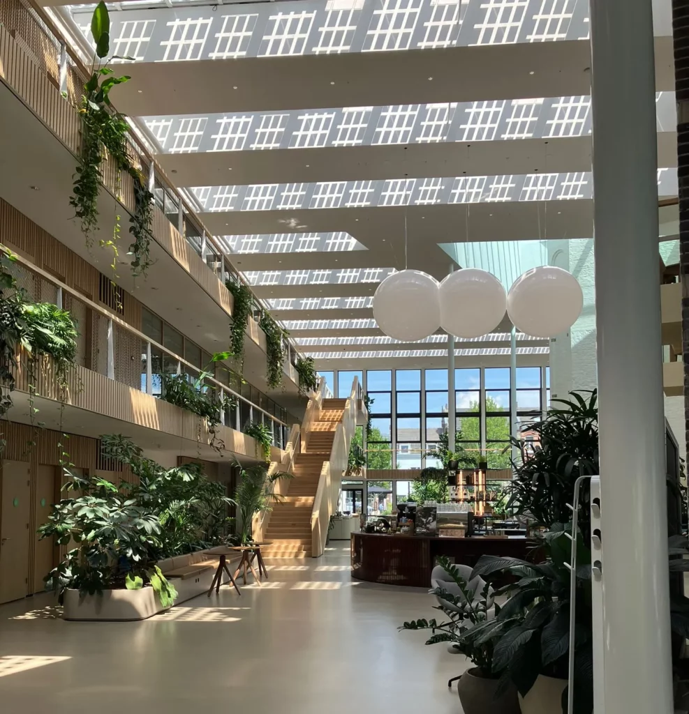 Interieurbeplanting (1)