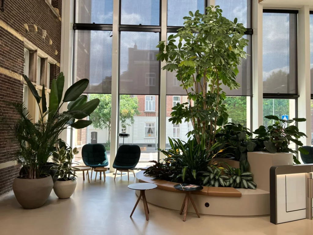 Interieurbeplanting (5)