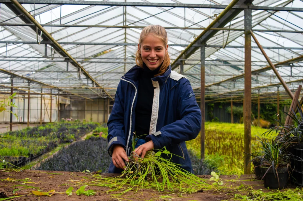 Werken als kwekerijmedewerker