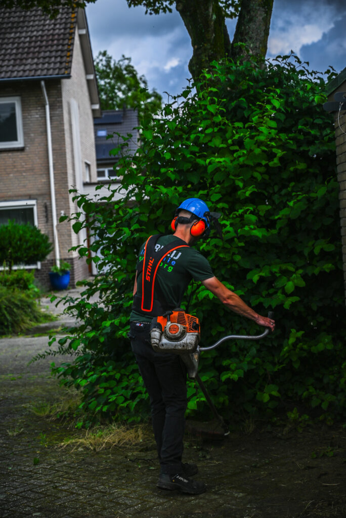 Vacatures zonder diploma