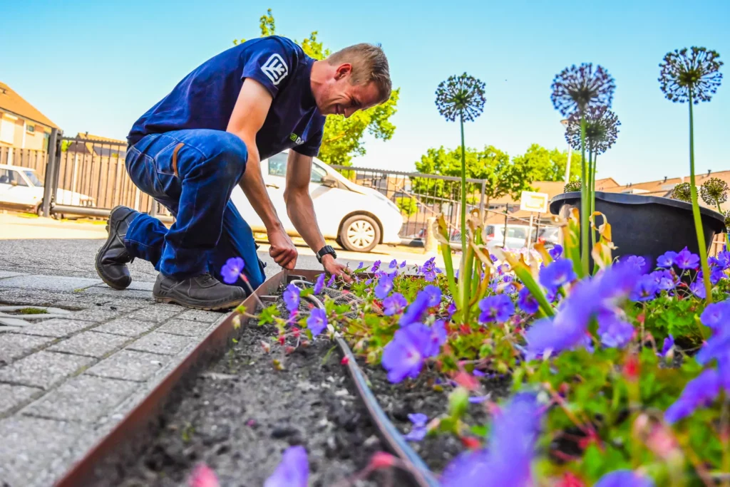 Groene vacatures (15)