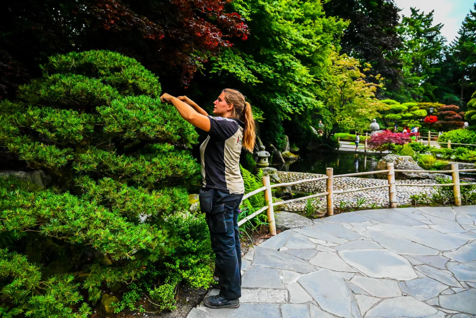 Wat verdient een hovenier