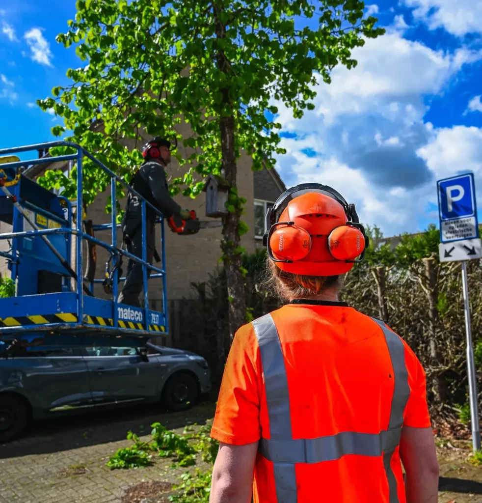 Baan in het groen (12)