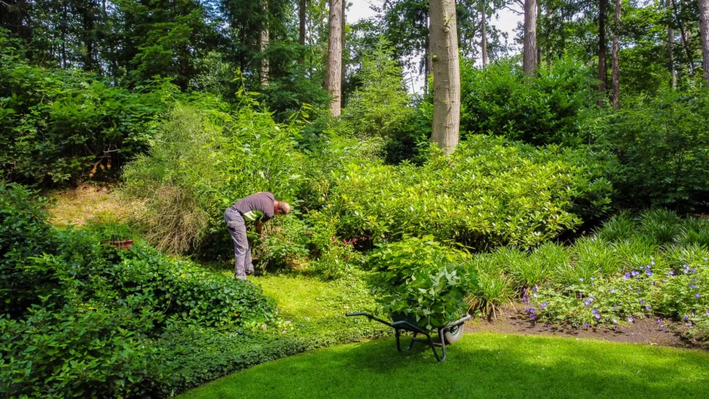 Groene banen met impact
