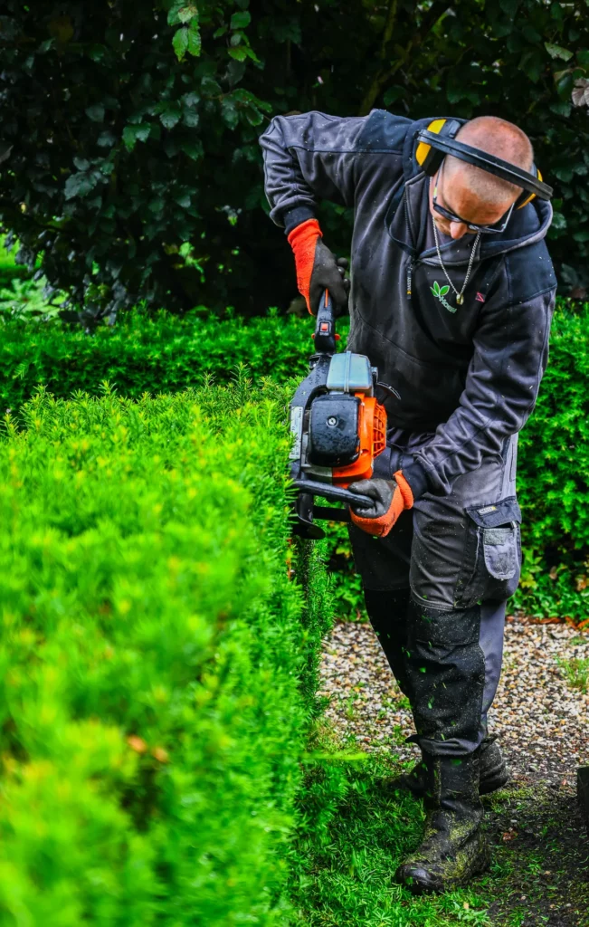 Hovenier vacatures met doorgroeikansen