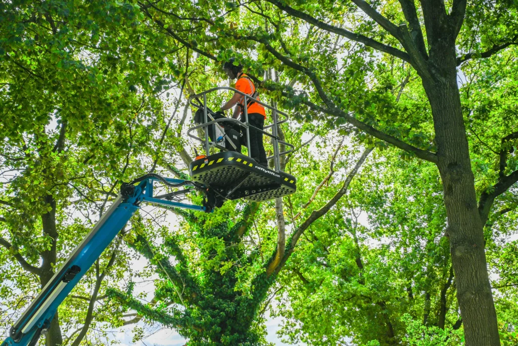Banen in het groen Groningen