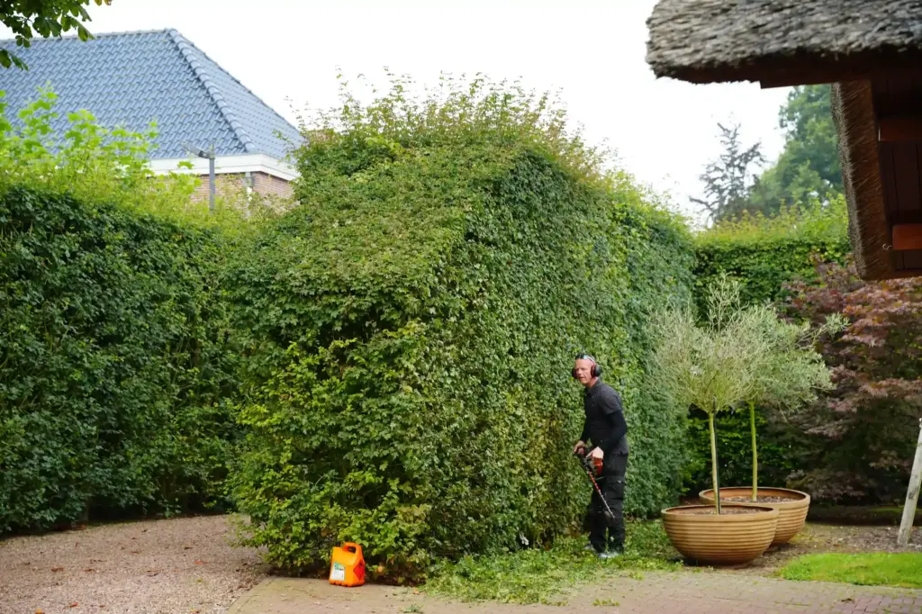Vakbekwaam hovenier in Groningen