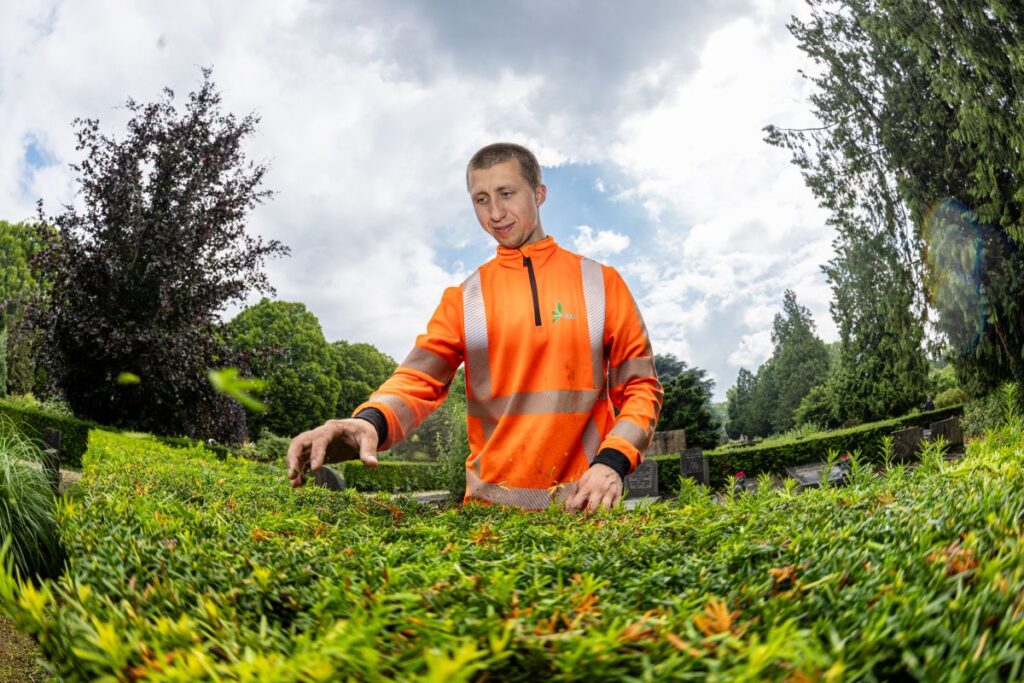 Groen opleiding — bij de heg