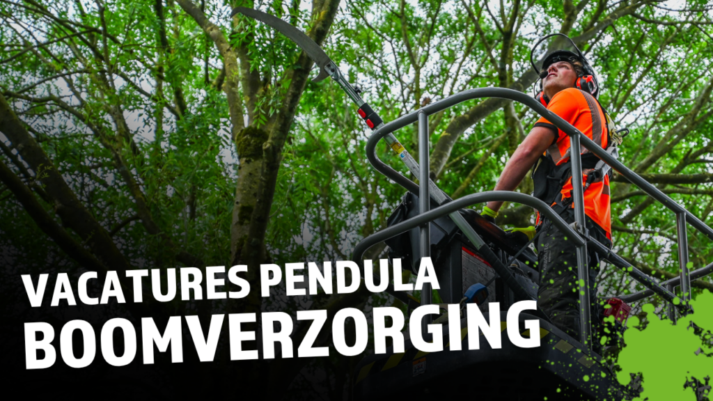 Pendula boomzorg